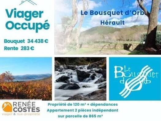 Maison en viager occupé Bouquet 34 438 € 7 pièces 5 chambres 120 m² 865 m² de terrain Le Bousquet-d'Orb 34260