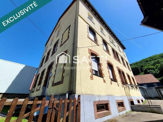 Immeuble à vendre 419 000 € 450 m² Centre Sainte-Marie-aux-Mines 68160