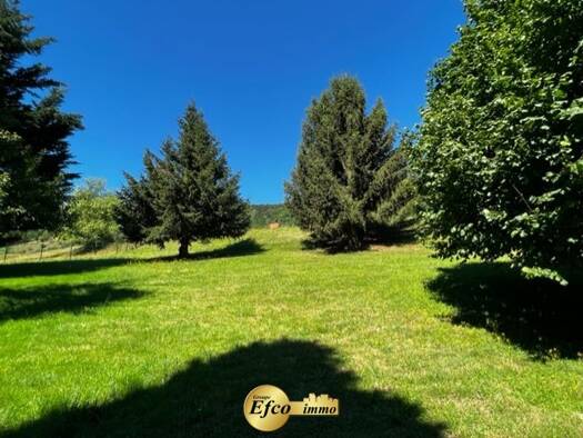 Maison à vendre 495 000 € 8 pièces 5 chambres 250 m² 3 100 m² de terrain Mitzach 68470