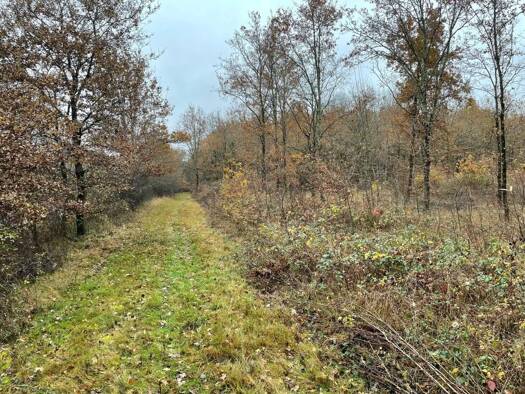 Propriété de loisirs à vendre 33 500 € 32 825 m² de terrain Châtres-sur-Cher 41320