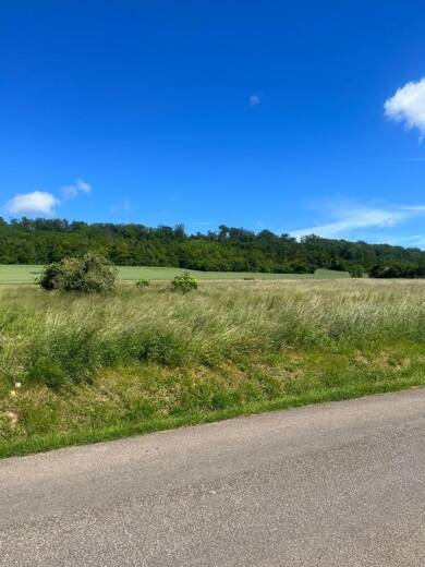 Terrain à vendre 28 500 € 4 574 m² de terrain Rignaucourt 55220
