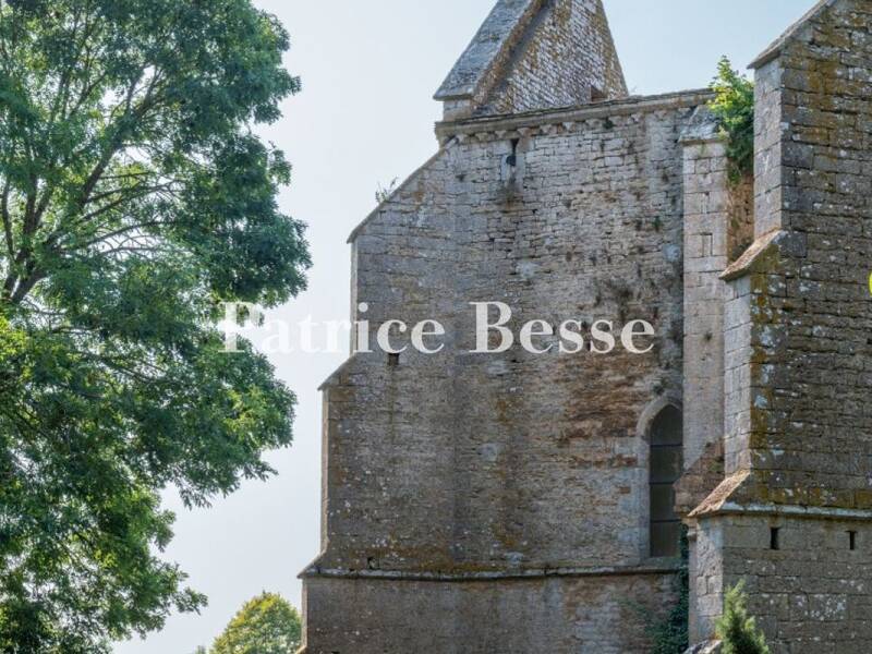 Maison à vendre, 435m², DIJON