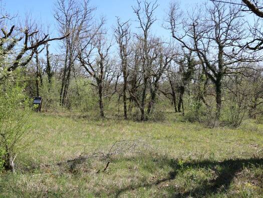 Terrain constructible à vendre 23 000 € 2 508 m² de terrain La Dornac 24120
