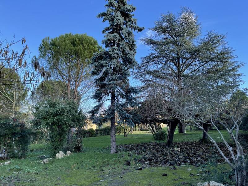 Maison à louer, 172m², VILLEFRANCHE DE LAURAGAIS