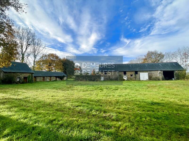 Maison à vendre, 250m², ILLE ET VILAINE