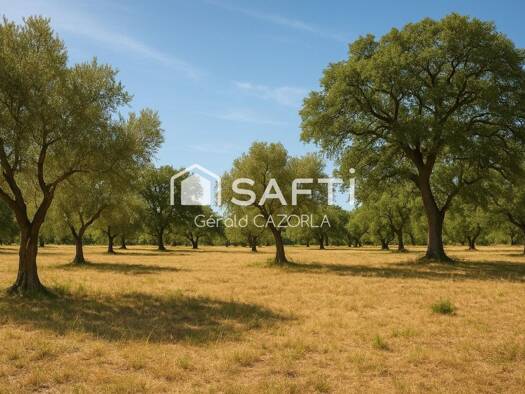 Achat terrain Saint-Jean-de-Védas 34430 dès 259 000€ annonces