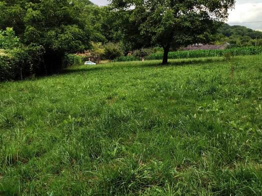 Terrain à vendre 75 000 € 2 260 m² de terrain Arros-de-Nay 64800