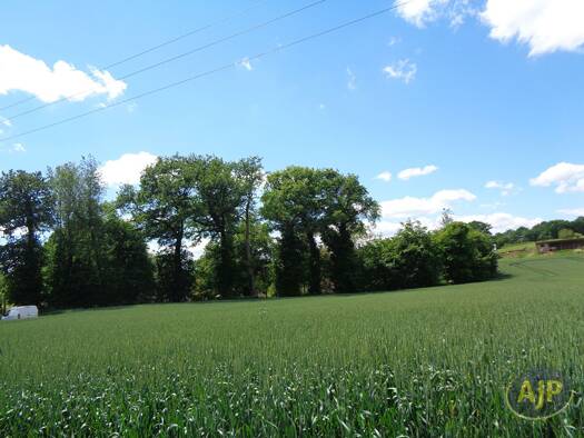 Terrain à vendre 61 500 € 1 042 m² de terrain Sérent 56460