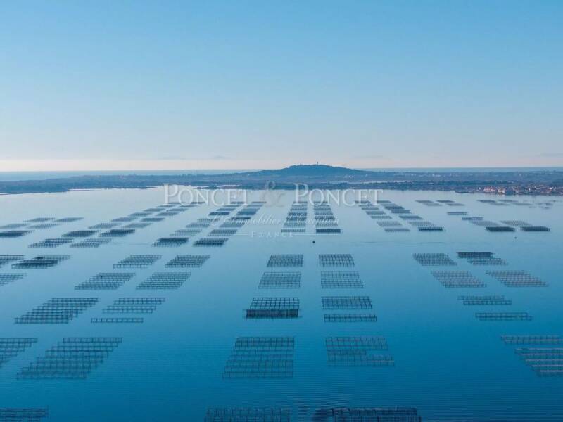 Maison à vendre, 2000m², MONTPELLIER