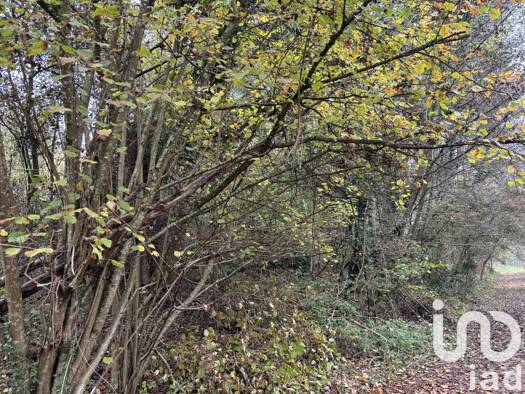 Terrain à vendre 5 000 € 732 m² de terrain Lorry-Lès-Metz 57050
