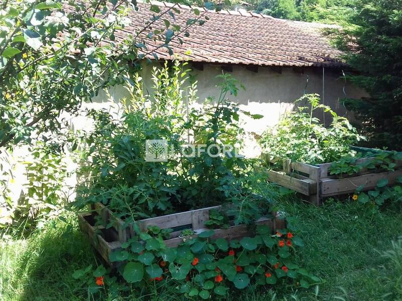 Maison à louer, 150m², NEUVILLE SUR SAONE