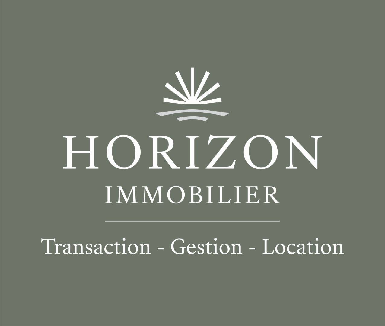 HORIZON IMMOBILIER