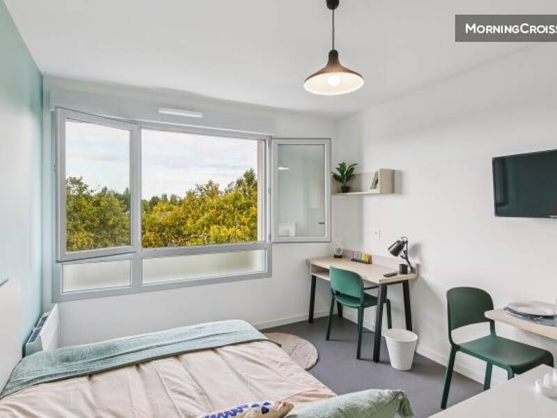 Maison à louer, 20m², PELLOUAILLES LES VIGNES