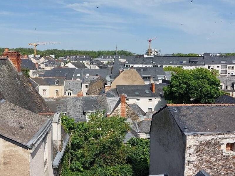 Maison à louer, 31m², ANGERS