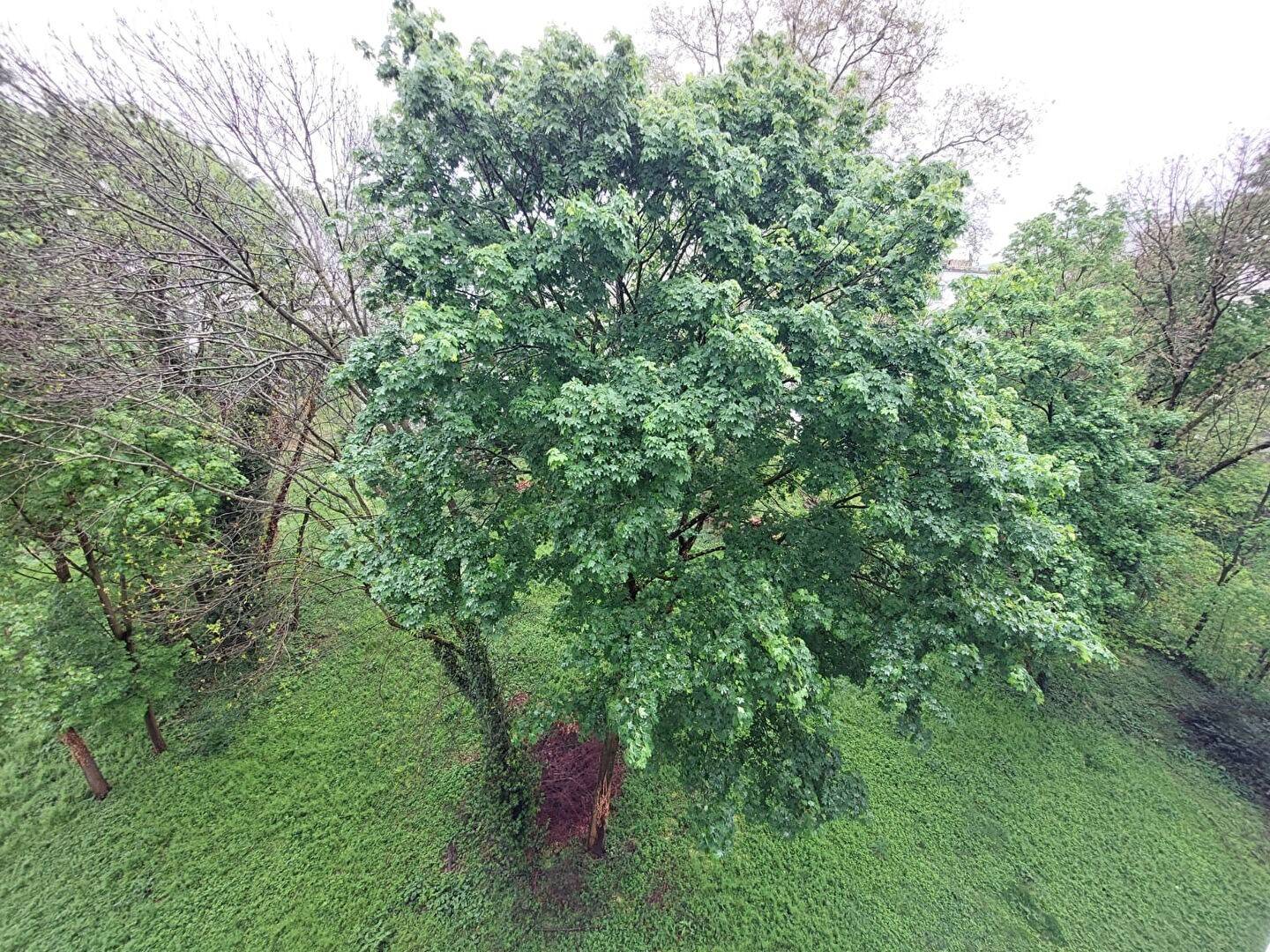 Maison à louer, 57m², TASSIN LA DEMI LUNE