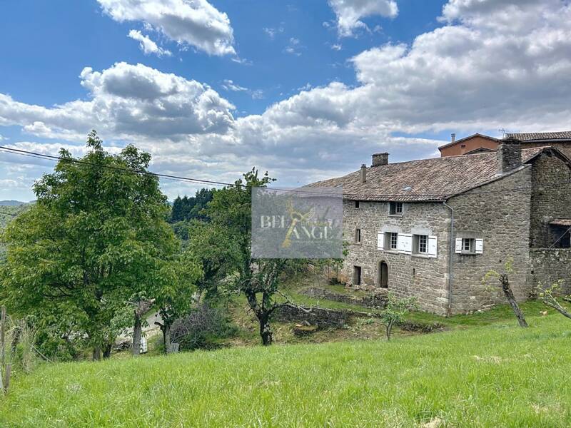 Maison à vendre, 700m², VALS LES BAINS