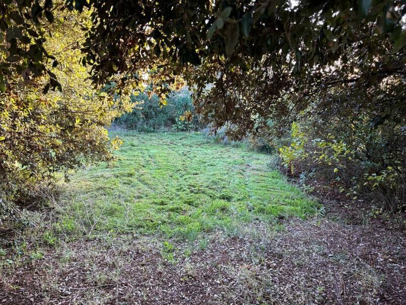 Maison à vendre, 60m², VILLESISCLE