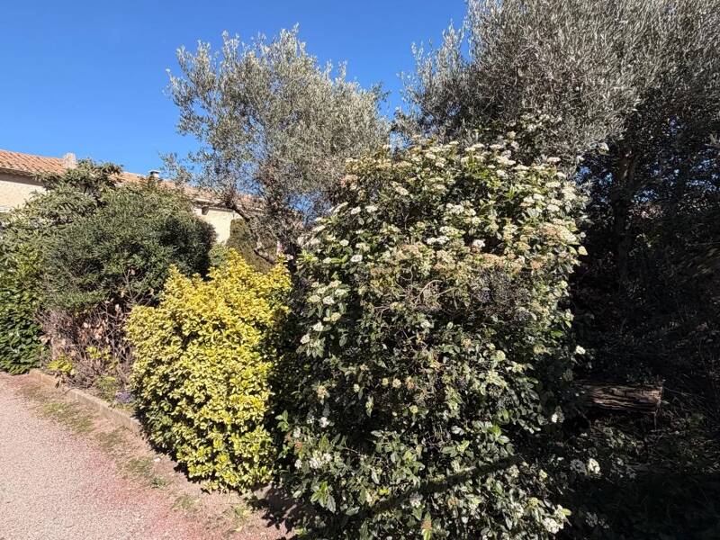 Maison à vendre, 140m², MORIERES LES AVIGNON