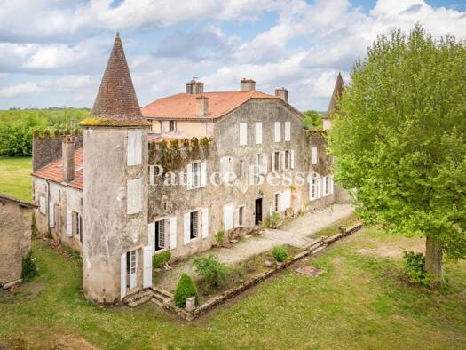 Château à vendre 590 000 € 14 pièces 9 chambres 1 400 m² 97 166 m² de terrain Mont-de-Marsan 40000
