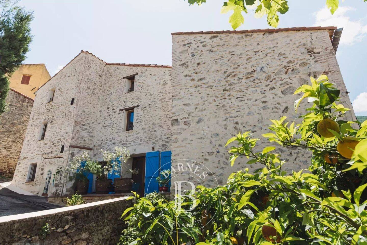 Maison à vendre, 330m², MONTESQUIEU DES ALBERES