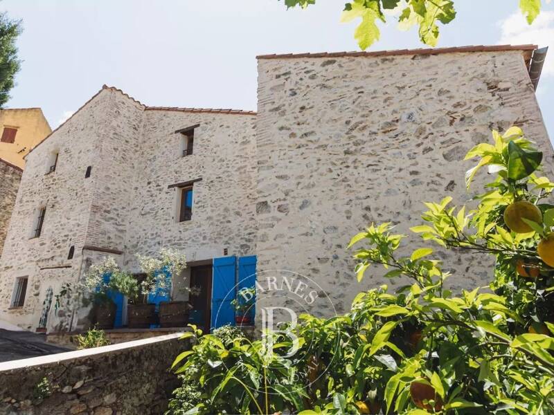 Maison à vendre, 330m², MONTESQUIEU DES ALBERES