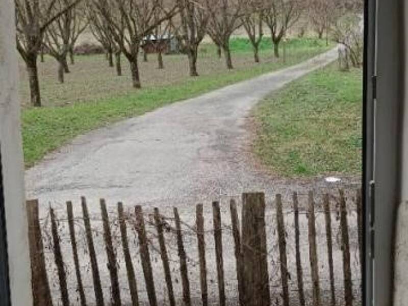 Maison à louer, 53m², CHATTE