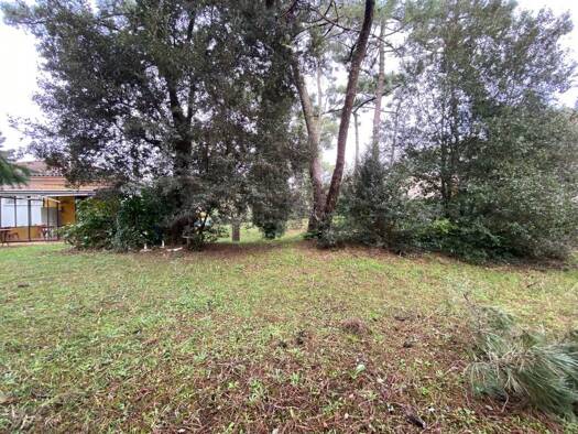Terrain à vendre 325 500 € 943 m² de terrain La Palmyre Les Mathes 17570