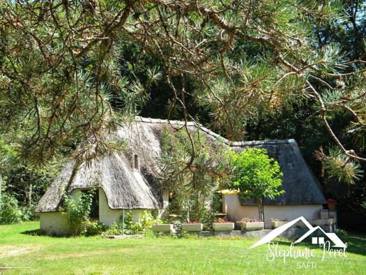 Maison en viager 120 000 € 4 pièces 2 chambres 105 m² 2 121 m² de terrain Pérols-sur-Vézère 19170