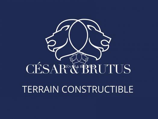 Terrain à vendre 20 000 € 805 m² de terrain Baudemont 71800