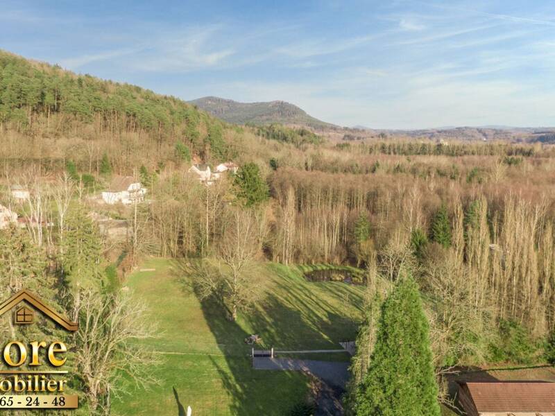 Maison à vendre, 192m², MOYENMOUTIER