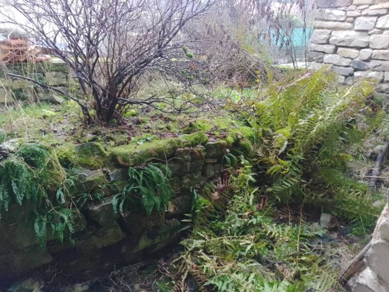 Maison à vendre, 100m², GRIPPORT