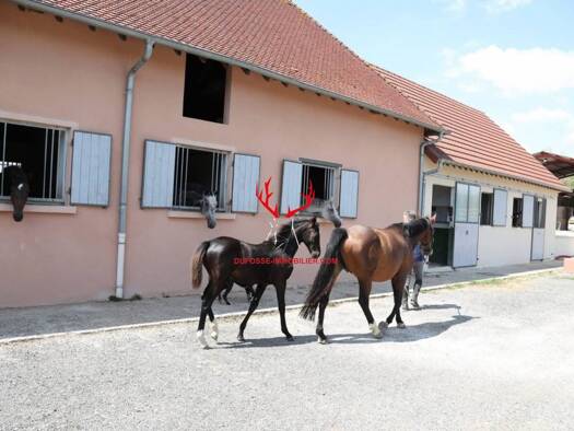 Maison à vendre de 1.1M à 1.7M € 6 pièces 4 chambres 229 m² 390 000 m² de terrain Louhans 71500