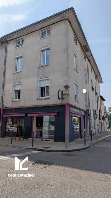 Immeuble à vendre 299 000 € 300 m² Thoissey 01140