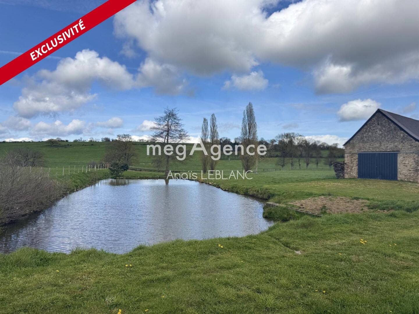 Maison à vendre, 141m², TORCE VIVIERS EN CHARNIE