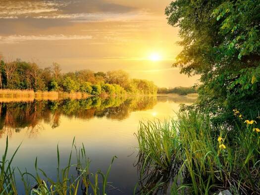 Terrain constructible à vendre 270 000 € 900 m² de terrain Le Teich 33470