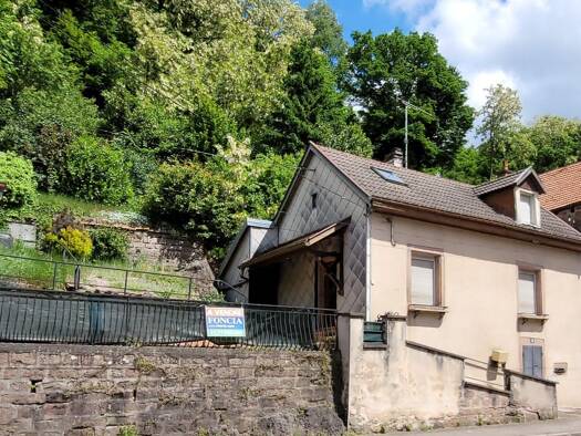Maison à vendre 60 000 € 3 pièces 1 chambre 70,4 m² 746 m² de terrain La Petite-Raon 88210