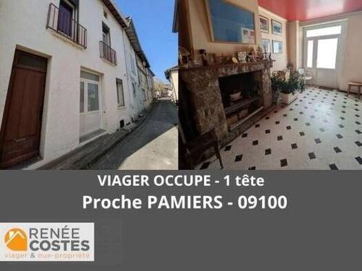 Maison en viager occupé Bouquet 19 750 € 8 pièces 5 chambres 200 m² 332 m² de terrain Jeu du mail-Lestang-Saint Jean Pamiers 09100