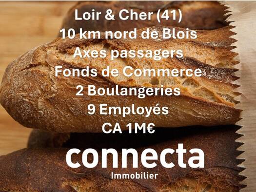Local commercial avec bail commercial 2 100 € 350 m² de surface de vente Saint-Lubin-en-Vergonnois 41190