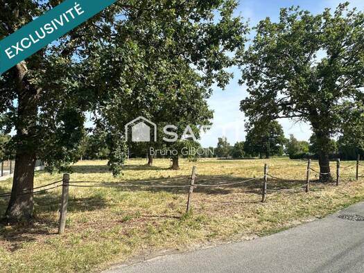 Terrain constructible à vendre 65 000 € 1 311 m² de terrain Coullons 45720
