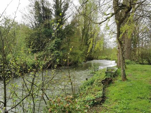 Maison à vendre 261 250 € 7 pièces 5 chambres 215 m² 1 909 m² de terrain Dennebroeucq 62560