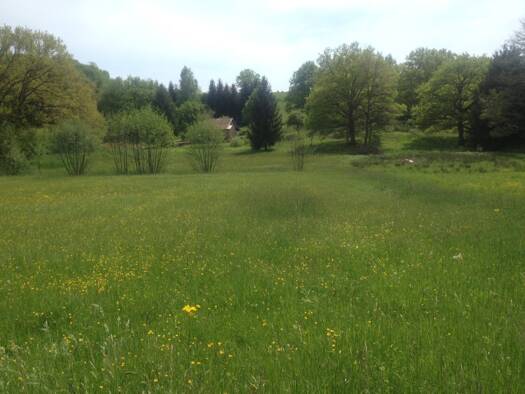 Terrain constructible à vendre 65 000 € 800 m² de terrain Menoncourt 90150