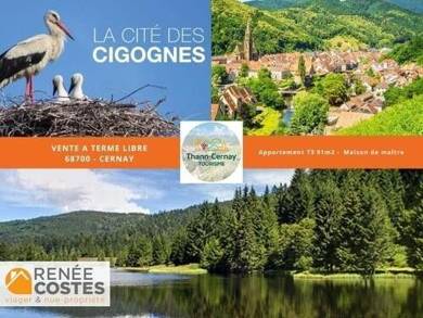 Duplex à vendre 169 228 € 3 pièces 2 chambres 92 m² Étage 1/2 Centre Cernay 68700