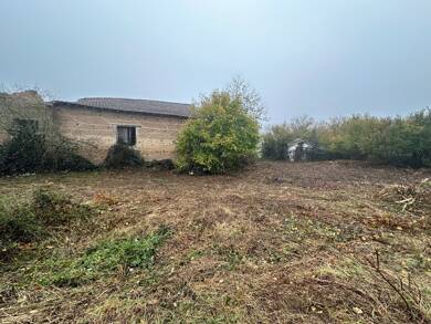 Ferme à vendre 99 000 € 1 pièce 1 chambre 100 m² 1 000 m² de terrain Montromant 69610
