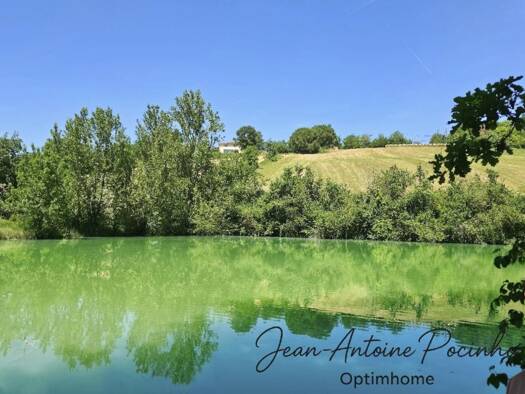 Maison à vendre 695 000 € 9 pièces 5 chambres 368 m² 339 816 m² de terrain Le Pin-Murelet 31370