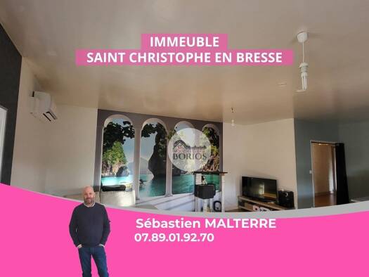 Immeuble à vendre 367 000 € 400 m² Saint-Christophe-en-Bresse 71370