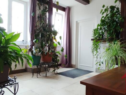 Maison à vendre 200 000 € 7 pièces 3 chambres 220 m² 1 084 m² de terrain Val-de-Meuse 52140