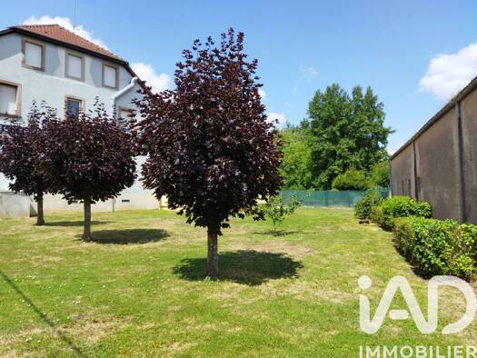 Immeuble à vendre 340 000 € 546 m² Drulingen 67320