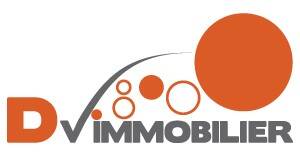 DV IMMOBILIER