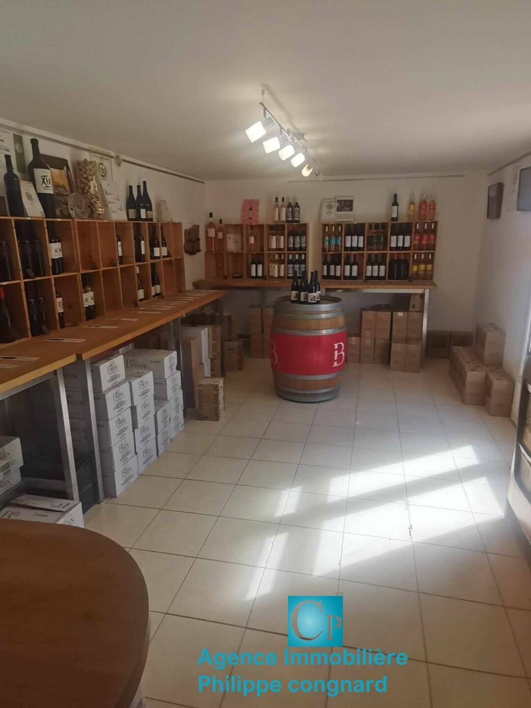 Maison à vendre, 165m², PUISSALICON