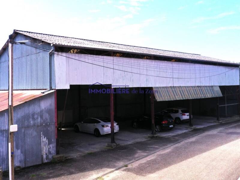 Maison à vendre, 280m², GAMBSHEIM